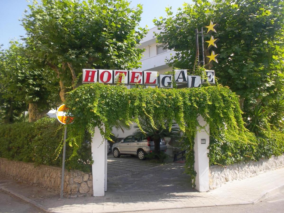 Hotel Gale Lido di Camaiore